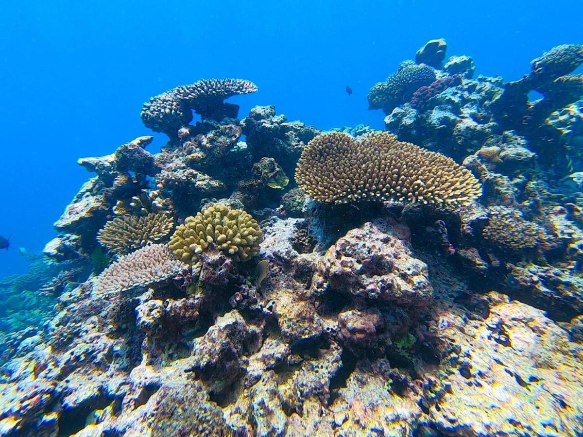 Nasama Resort Port Vila Bagian luar foto