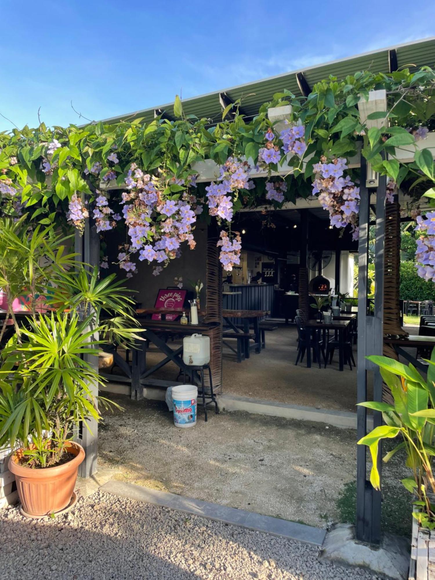 Nasama Resort Port Vila Bagian luar foto